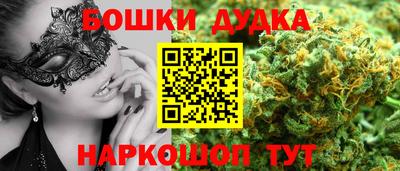 мдпв Будённовск