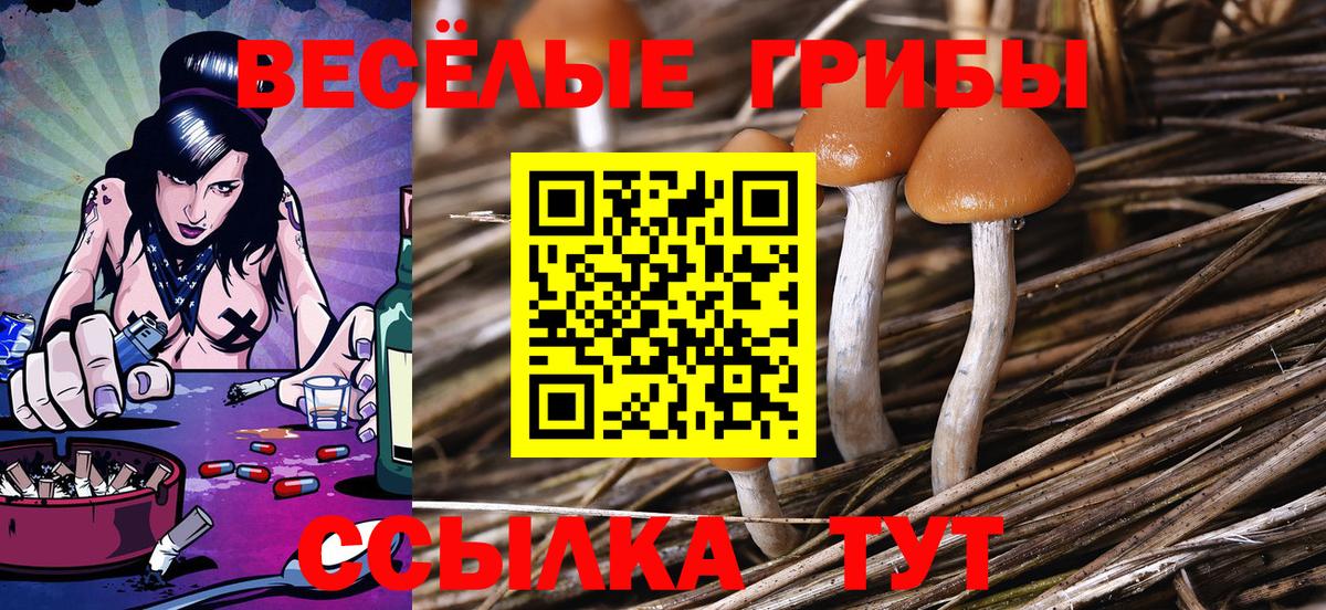 Галлюциногенные грибы мицелий Кыштым