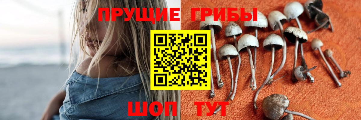 Кыштым  Псилоцибиновые грибы мухоморы  Вход с VPN  Галлюциногенные грибы мицелий 